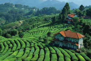 Historical-Places-To-Visit-In-Ooty